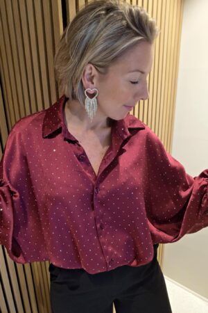 Chemise strass Birdy