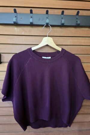 Petit Pull court Karima - Prune